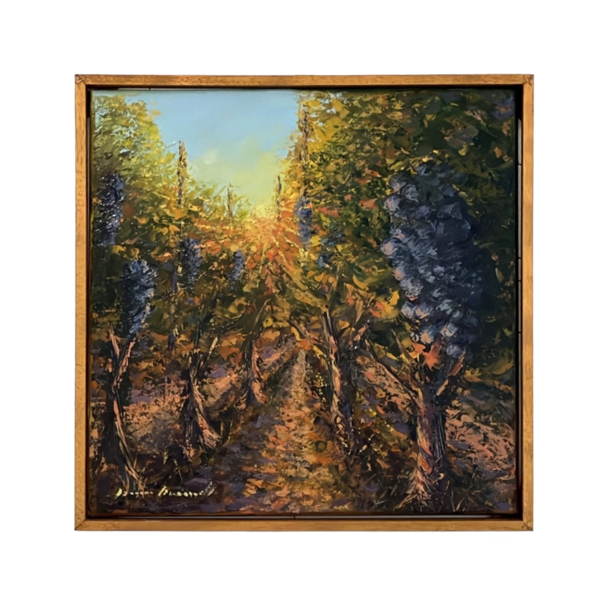 Hand-painted Tuscan Landscape on Canvas - Olive Trees - 40x40cm
