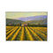 Painted on Canvas | Tuscan Landscape | Vineyard | 100x70cm