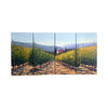 Painted on Four Wooden Plank | Tuscan Landscape | Vineyard | 120x60cm